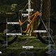 Canyon Spectral:ONfly Geometrieangaben Rahmengröße M