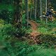 WHYNOT-Video mit Korbinian Engstler  0006 Hintergrund Kopie