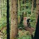 Bikepark Oberammergau: ein wildromantischer bayrischer Wald und viele glitschige Wurzeln.
