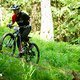 Foto Chris Spath EMTB-News Thok-Tribe-128