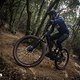 Das Scott Lumen ist kein Power-E-Bike und fordert etwas eigenen Körpereinsatz