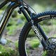 Haibike stattet das Lyke mit der Pike Ultimate mit Flight Attendant aus