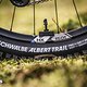 Schwalbe Radial-Reifen – ein absolutes Must-have, wie ich finde.