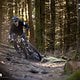 BH iLYNX TRAIL 2025 PSturm-3
