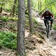 Foto Chris Spath Rotwild REX-66