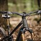 Orbea Wild 2025 DSC 6077