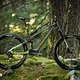 Haibike Lyke CF SE VT Light-Support-E-MTB 2025DSC 6808