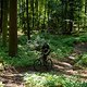Foto Chris-067