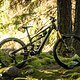 YT Decoy SN VT Light-Support-E-MTB 2025DSC 6974