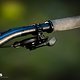Transition Relay VT Light-Support-E-MTB 2025DSC 6777