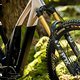 Versteckt hinter der Verstrebung steckt ein Fox Float X2 Factory, der durch eine Fox 38 Grip 2 ergänzt wird