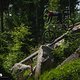 Portraits-Light-E-MTB-VT-2024-DSC-9533