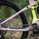 Orbea Wild Fast Forward Team 2025 Bikecheck DSC 2930