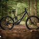 Orbea Wild 2025 DSC 6033