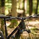 Canyon Spectral:ONfly 2025 Neuheit und Test