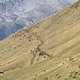 Manche Uphills verliefen über Fire Roads (Forstwege), andere aber auch mal ein Stück Straße.