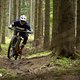 Im Downhill punktet das Specialized Levo SL Expert mit seinem ausgeglichenen Charakter und dem breiten Einsatzspektrum.