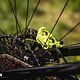 Stefan Schlie Mr Uphillflow E-Bike Z8H 4477
