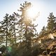 Sonne satt, Staub ohne Ende und kilometerlange, endgeile Trails – so präsentierte sich das Vinschgau in diesem Testcamp.