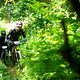 Foto Chris Spath EMTB-News Thok-Tribe-072