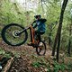 Bosch Flowcamp 2025 powered by eMTB-News: Zwei Tage Flow, Tech und Trails – jetzt mitmachen und gewinnen!
