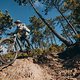 Bosch-eBike-Leissure-Liguria-MY2025-8414