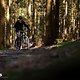 BH iLYNX TRAIL 2025 PSturm-15