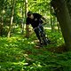 Aktiv nach vorne muss man zumindest am XL-Rad mit dem kurzen Kettenstreben-Setting in eher flachen und offenen Kurven.