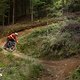 Sachte Downhill-Trails sind kein Problem