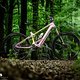 Orbea Wild Fast Forward Team 2025 Bikecheck DSC 2896