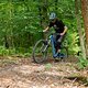 Shimanos EP801 ist etwas aus der Zeit gefallen