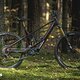 Orbea Wild 2024