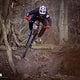 Auf dem Trail kann das Haibike ALLMTN CF 11 TRN/IQ mit einer intuitiven, gutmütigen Charakteristik und viel Komfort aufwarten.