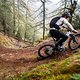 Zum Abschluss des Panorama-Trails geht&#039;s nochmal hübsch bergauf