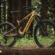 Mit dem aktuellen Specialized Levo SL Expert hat der amerikanische Branchen-Primus ein vielseitiges und allroundiges Light-E-MTB im Programm, das einen breiten Einsatzbereich hat.