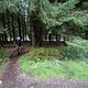 Am wohlsten fühlt sich das Orange Alpine 6 E LE auf anspruchsvollen Trails im Wald, wo es sein Potenzial nutzen kann.