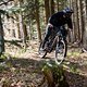 Das Bullit ist das passende E-Bike für den Bikepark.