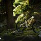 Simplon Rapcon PMAX TQ VT Light-Support-E-MTB 2025DSC 7184