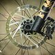 Orbea Wild Fast Forward Team 2025 Bikecheck DSC 2957