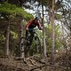 Als Allmountain will das Thok Trails Trails Trails sehen