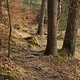 Trails Herrgottsberg, Radegundenberg, Burgwaldener Weiher