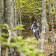 Stage 3 und 4 verliefen durch einen Wald und boten Loamer, Steine und Kurven.