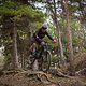 Knaller Bike, knaller Farbe – die neuen Thok TP4-Modelle sind unserer Meinung nach echte Hingucker geworden!