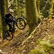 Uphill-Performance definiert das Forbidden Druid Lite vollkommen neu.