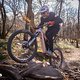 Haibike ALLMTN CF 11 TRN/IQ mit Pinion MGU