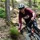 Foto Chris Spath Rotwild REX-68