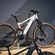 Das Alloy Performance-Modell setzt wie alle Alu-Modelle auf den P101 Motor mit 100 Nm, setzt aber beim Akku einen drauf und bietet 800 Wh.