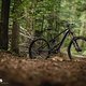 Orbea Wild 2025 DSC 6111