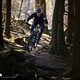 Bergab ist das BH Bike iLynx ausbalanciert unterwegs.