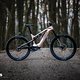Haibike AllMtn Pinion DSC 8695